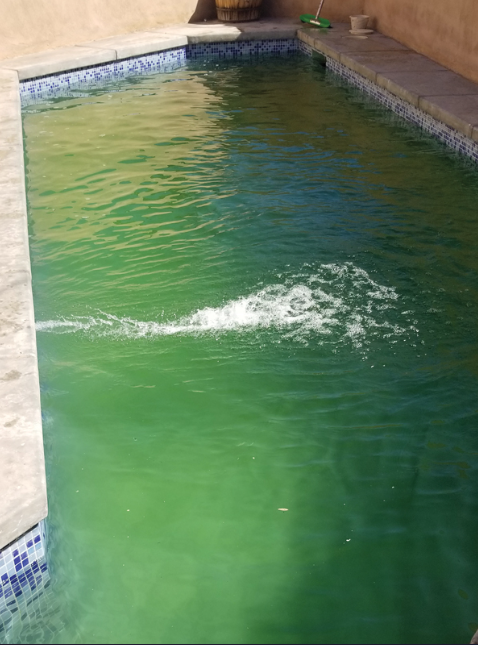 Piscina antes da limpeza